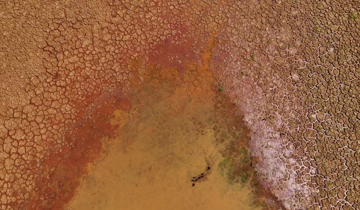 Brazil suspends Amazon river dredging after Indigenous protests