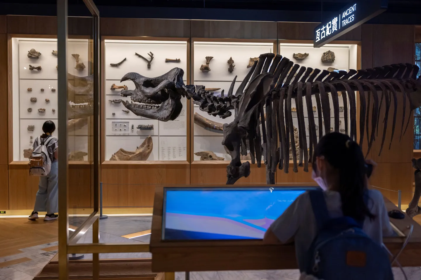 Dinozavrlar 200 million yıl buyı närsä aşağan?