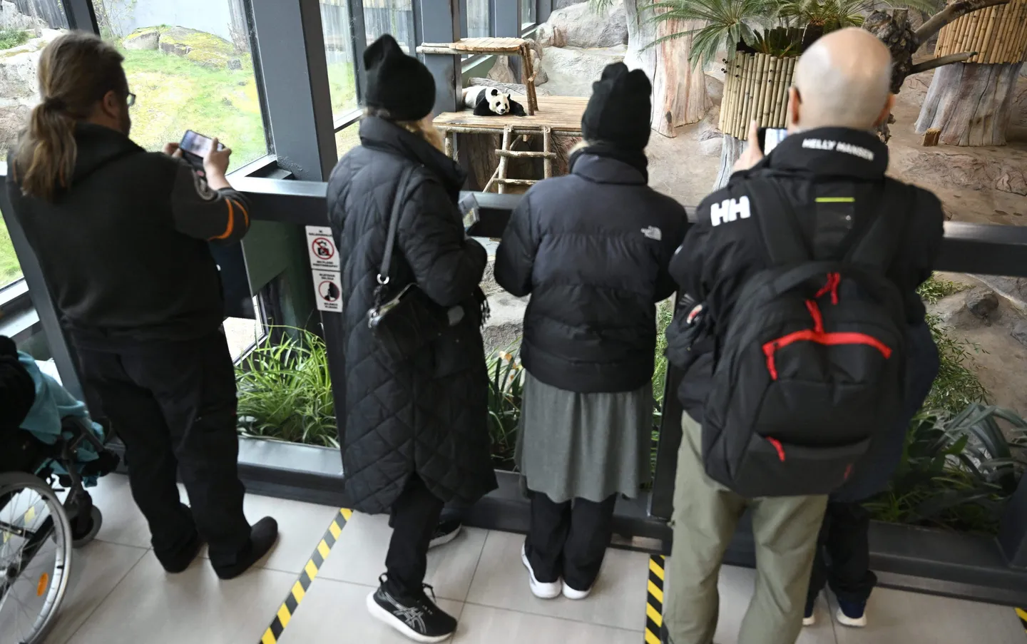 İsertkeç êçemleklär çäç qoyıluğa kiterä