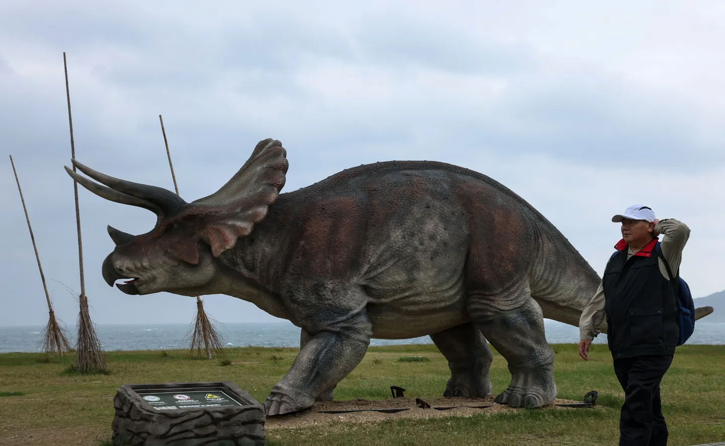 A dinoszauruszok fosziliává vált ürülékei fényt derítenek táplálkozási szokásaikra