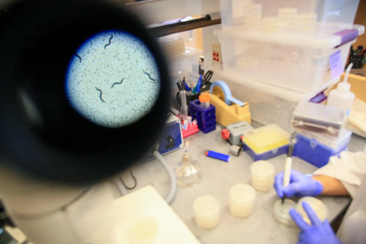 Egzotyczna choroba wykryta w Polsce