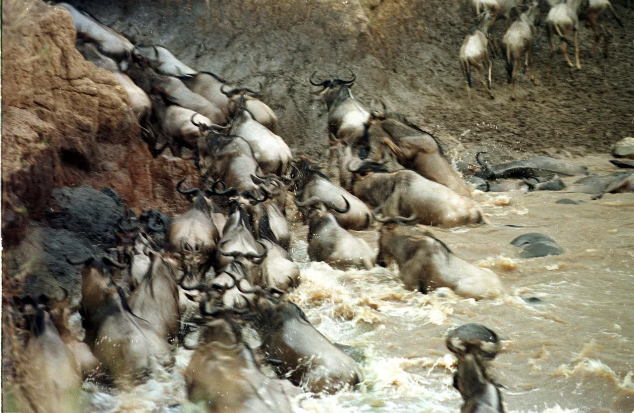 Hifadhi ya Kitaifa ya Maasai Mara, Kenya rasmi katika Kitabu cha Rekodi za Dunia