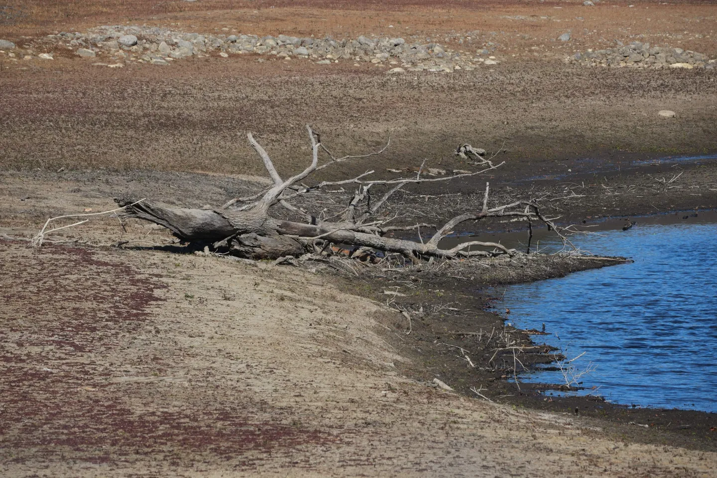 המים הם מולדת: יוזמת היעילות הלאומית במים של טורקיה מציינת את יום המים העולמי
