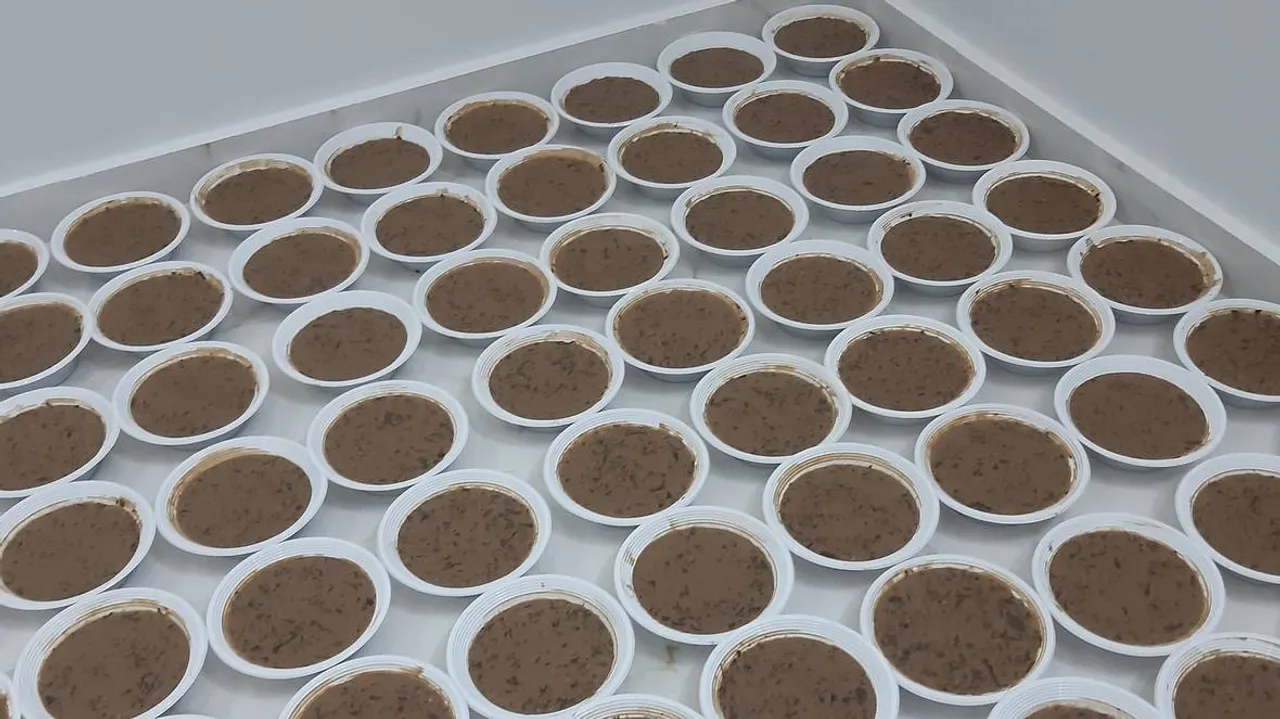 Culinária de Gaza: Uma combinação de comida saudável e festiva