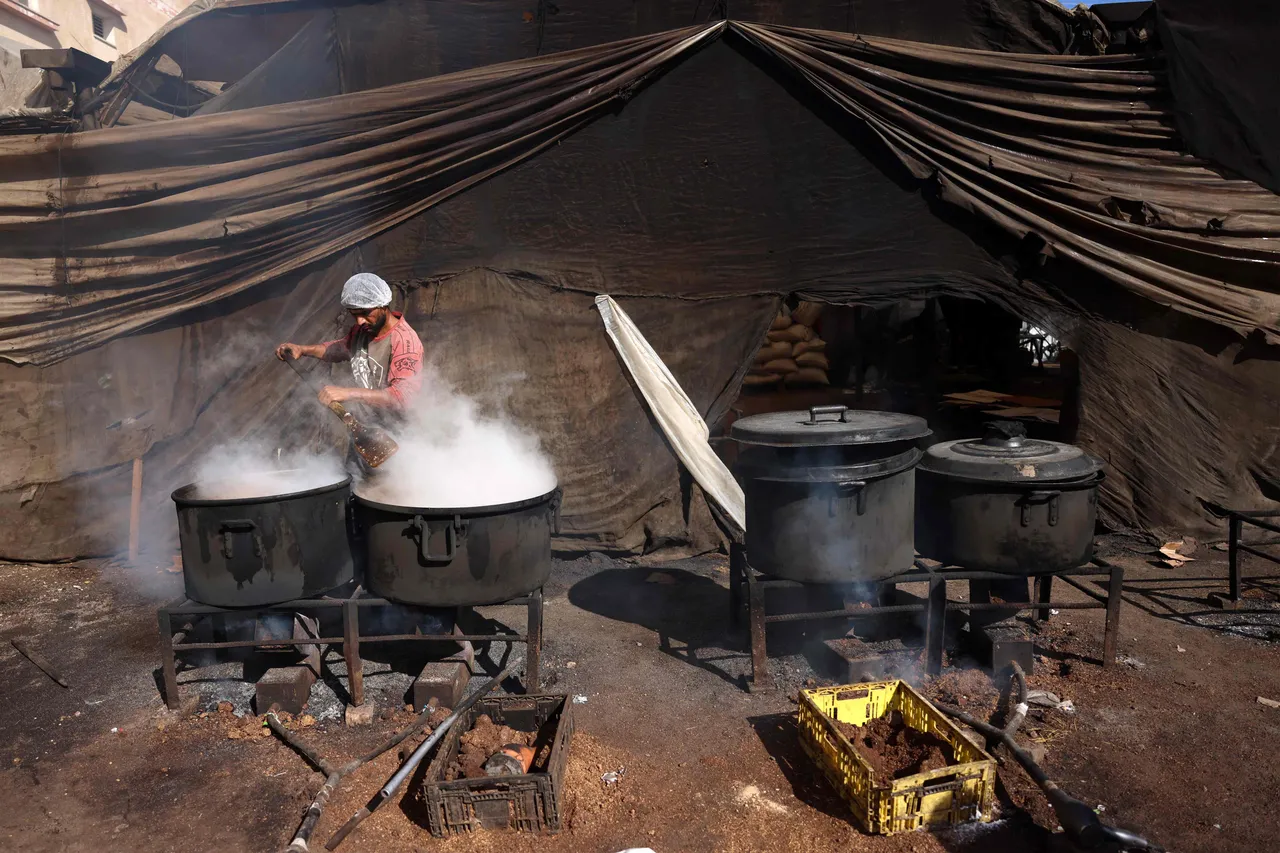 Gaza Kitchen Cucina di Gaza: Una combinazione di cibo sano e festivo - TRT Italiano