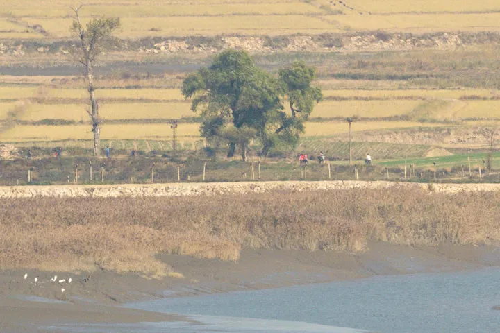 대한민국, 비무장지대 인근 12개 모든 도보 탐방로 재개방 예정