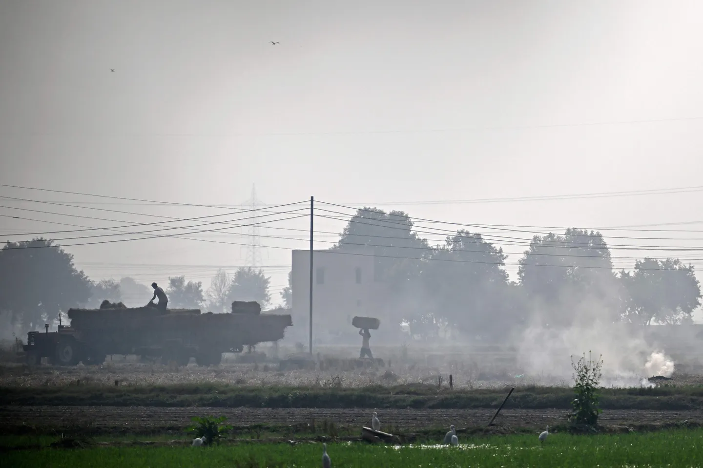 Индия задържа стотици фермери и разрушава протестни лагери