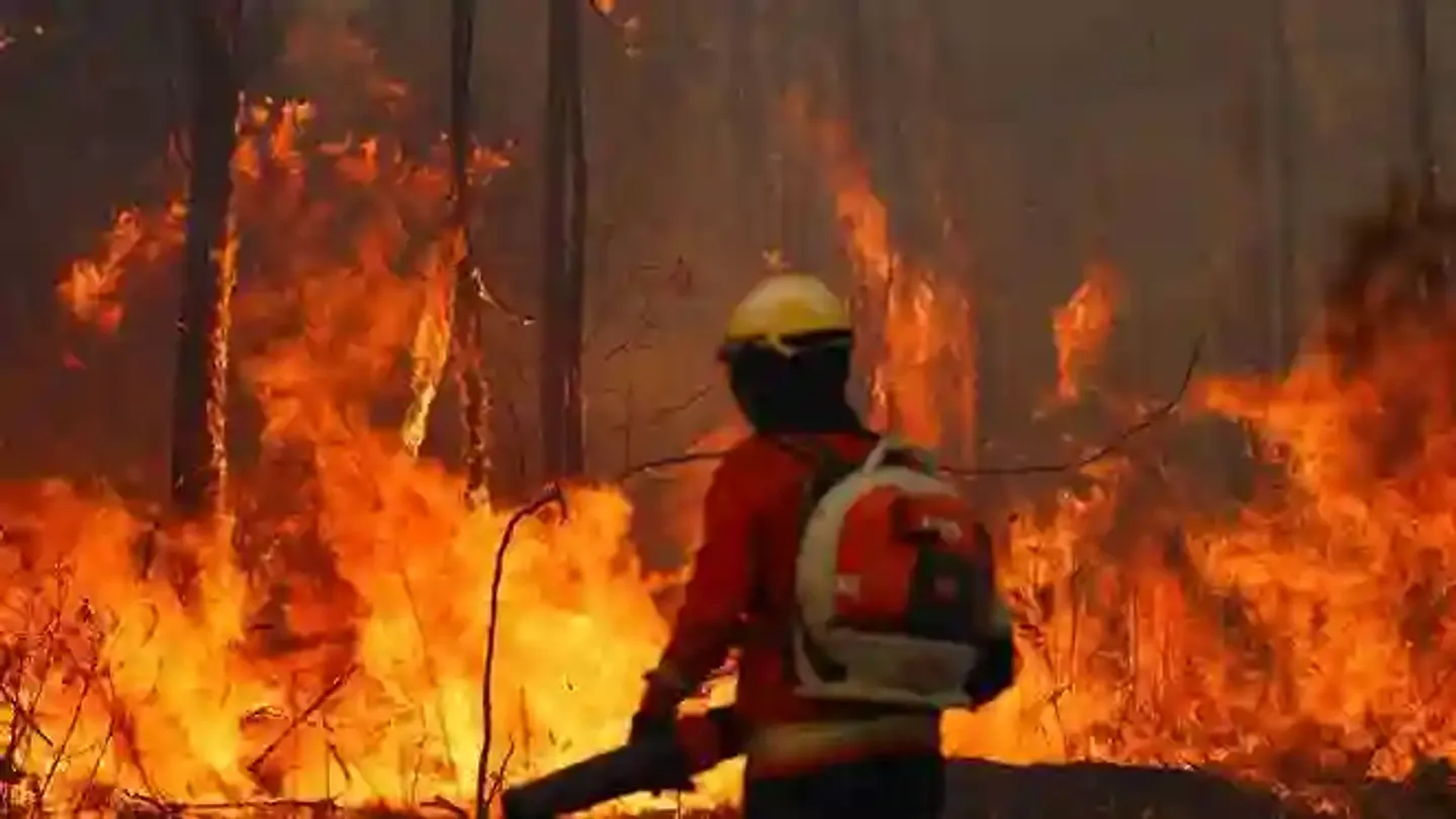 Arde Sudámerica: incendios intencionales y por sequías devastan el Amazonas