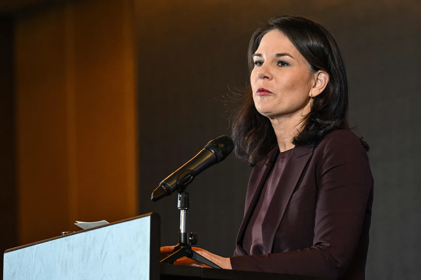 Germaniya - Äsäd yaqlılarğa: "Kilmägez"