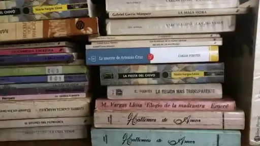 ¿Dónde se habla mejor español?