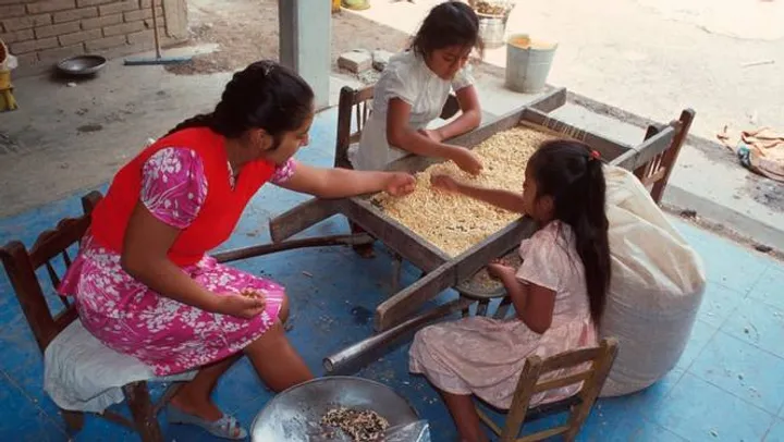 La vía indígena para una mejor vida: ¿cómo aplicarla?