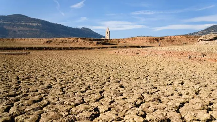 La lucha del sudeste español contra la desertificación
