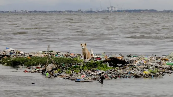 लालच बनाम पृथ्वी: जलवायु अनुपालन सुनिश्चित करने के लिए 'मच्छर' रणनीतियों की आवश्यकता