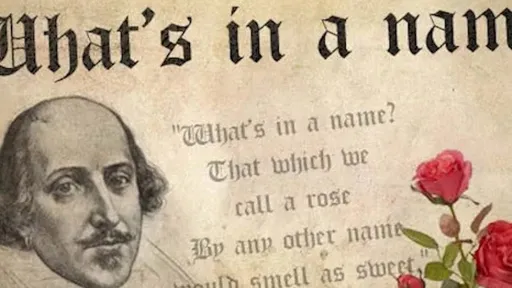 Magacaagu waa muraayadda doorashooyinkaaga nolosha. Waxaa jira caddeymo arrintaas muujinaya.