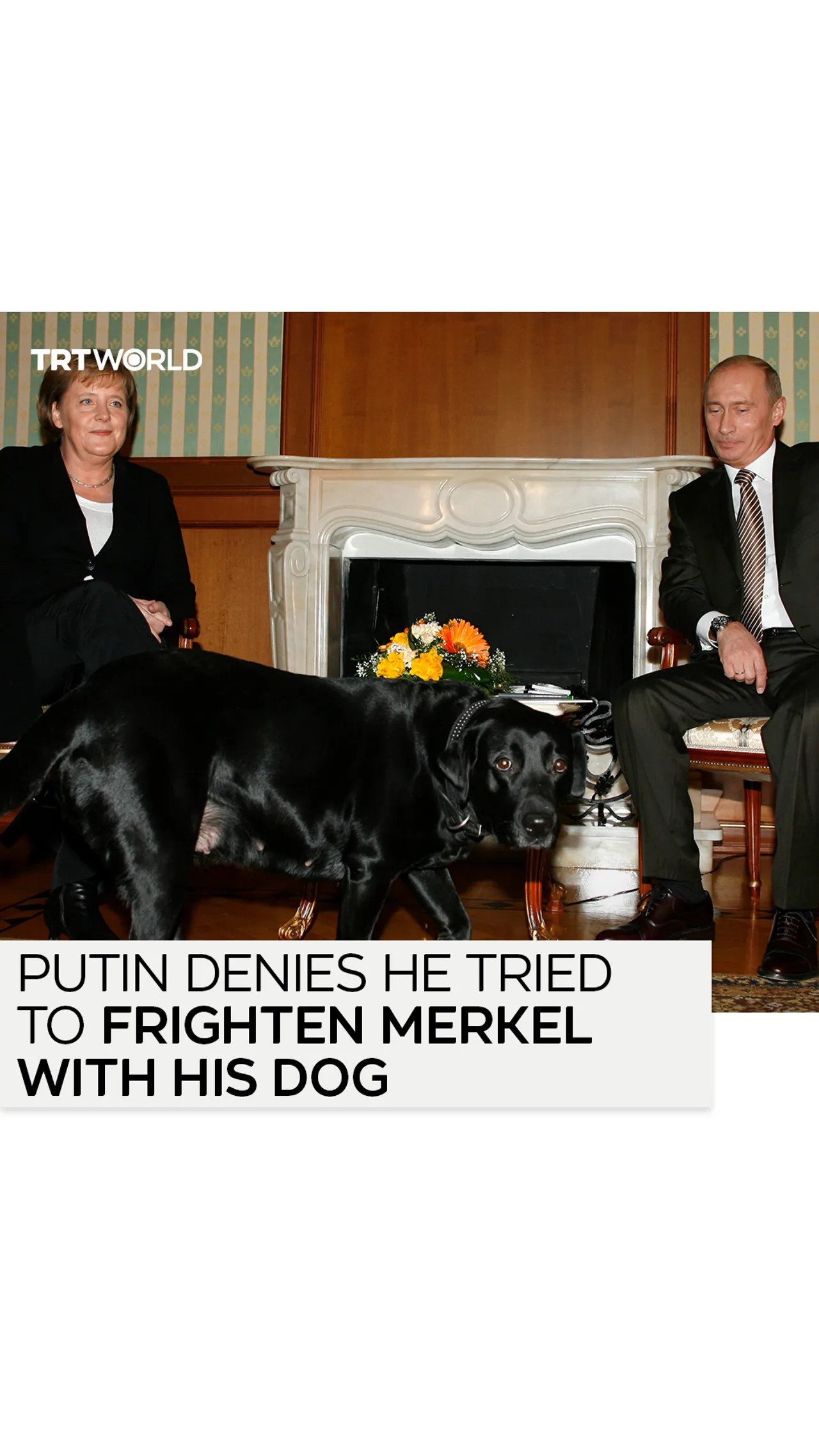 Putin denies he tried to frighten Merkel with his dog