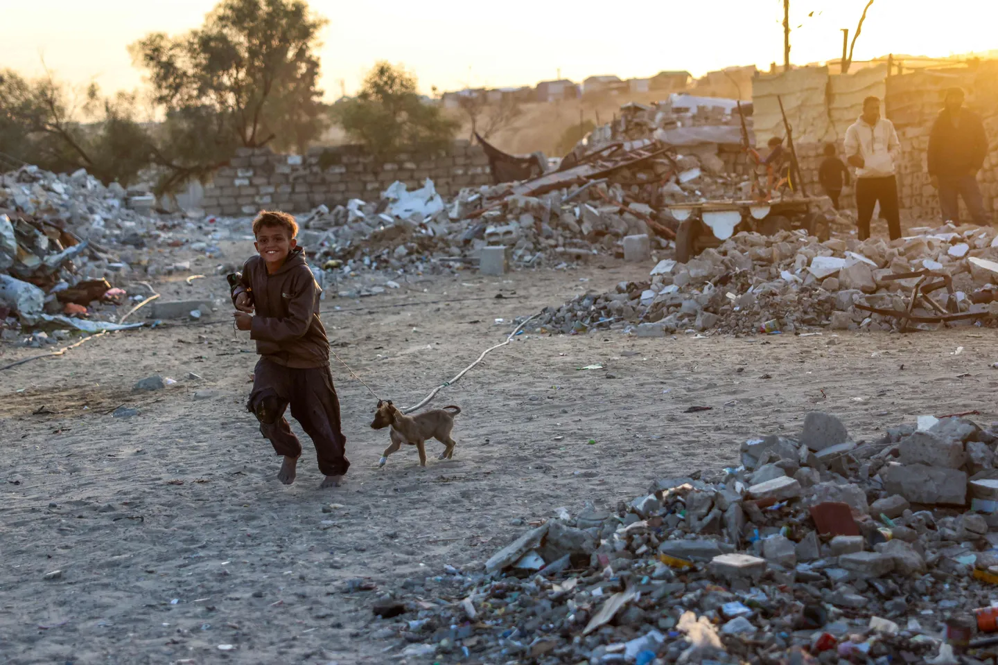 ‘Mengapa anjing-anjing gemuk? Kerana mereka mencari mayat’