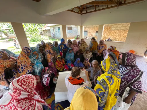 هنرمندان تورکی و اقتصاد آبی زنگبار