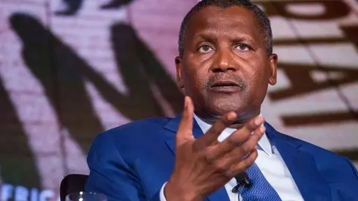 Wasu daga waje na ƙoƙarin daƙile ci-gaban Afirka, in ji  Dangote