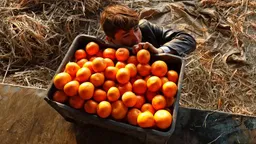 Sida Xumusta iyo Liin-macaantu uga caawinayaan Ruushka iyo Pakistan inay ka gudbaan cunaqabateynta