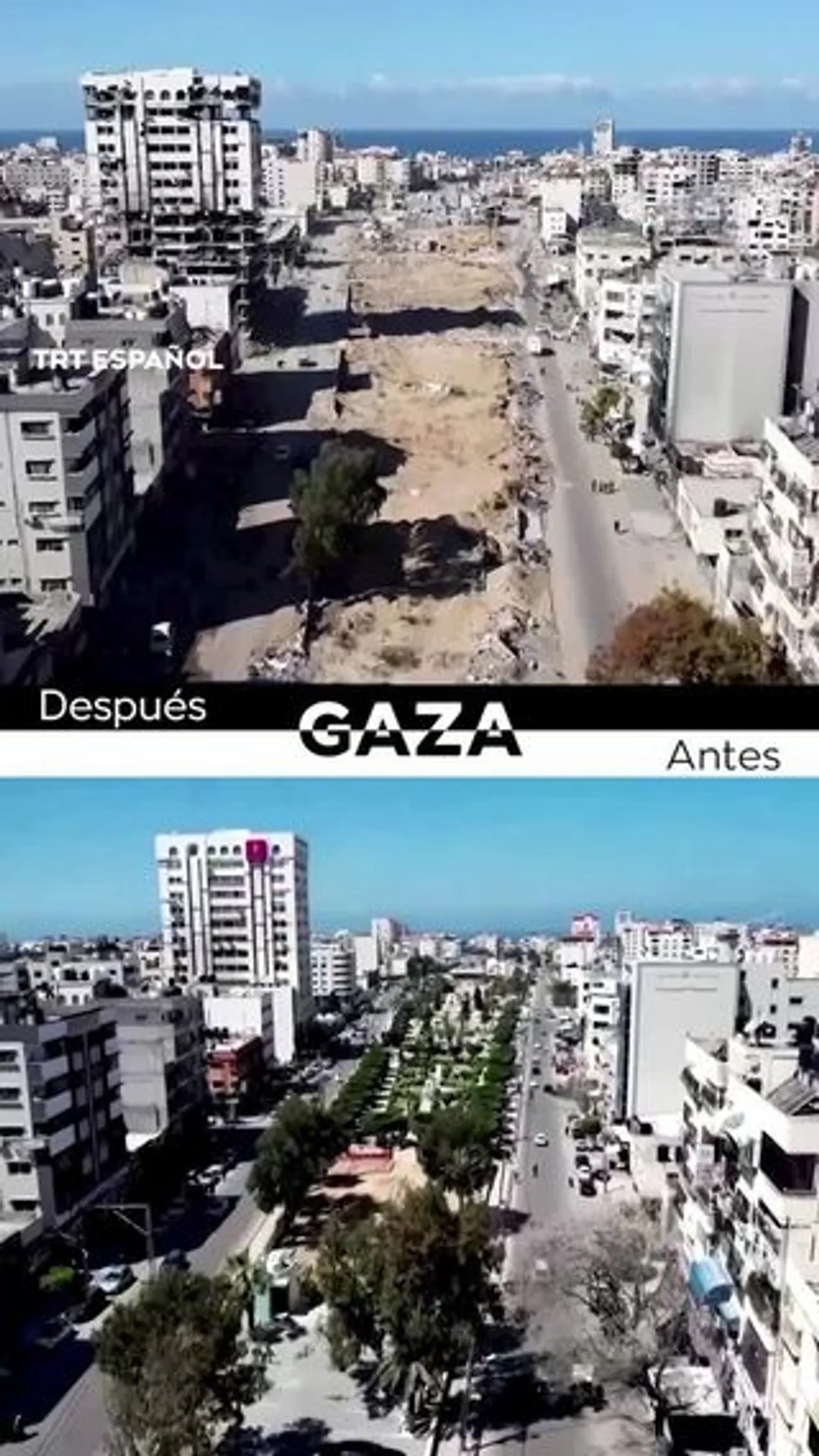 Gaza antes y después