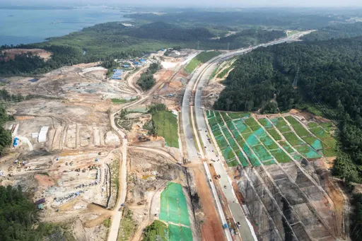 Laporan LSM menghubungkan impor kayu Uni Eropa dengan penebangan liar di Kalimantan, Indonesia