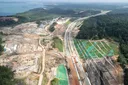 Laporan LSM menghubungkan impor kayu Uni Eropa dengan penebangan liar di Kalimantan, Indonesia