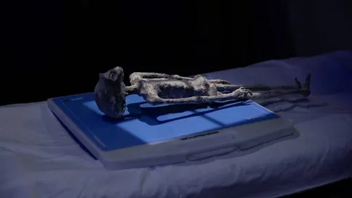 Saxammada duula, niman yar-yar oo cagaaran…? Saynisyahanada Mareykanka oo ku kala aragti duwan makhluuqa qalaad ee meerayaasha.