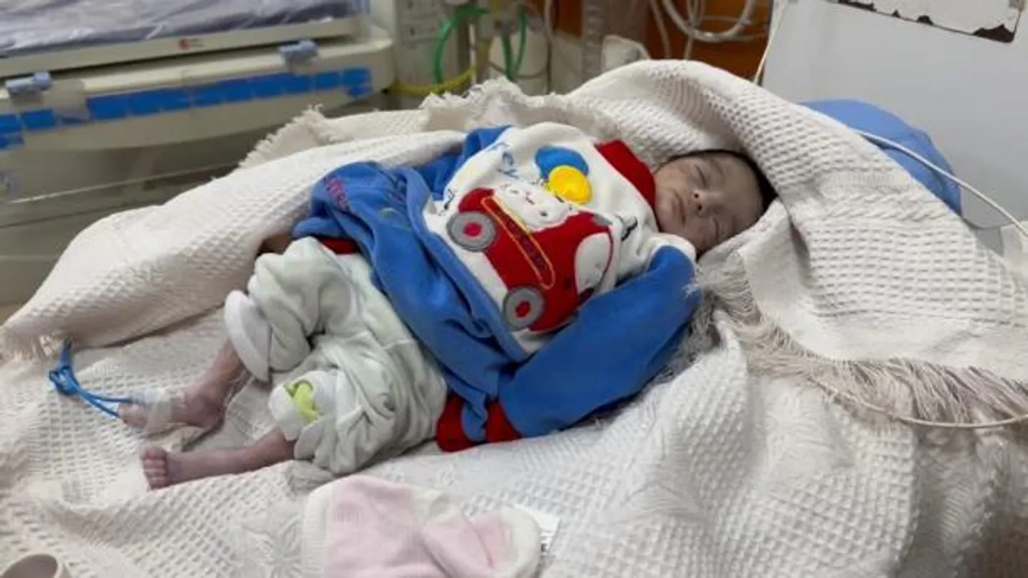 غەززەدە 7 بوۋاق توڭلاپ ھاياتىدىن ئايرىلدى