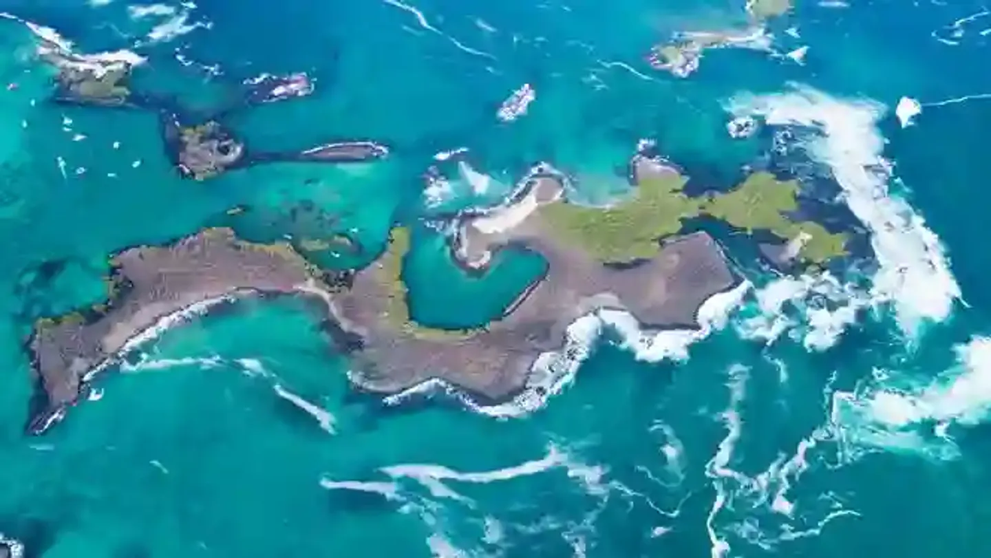 Guardianes de Galápagos: contra la pesca ilegal y el desborde turístico