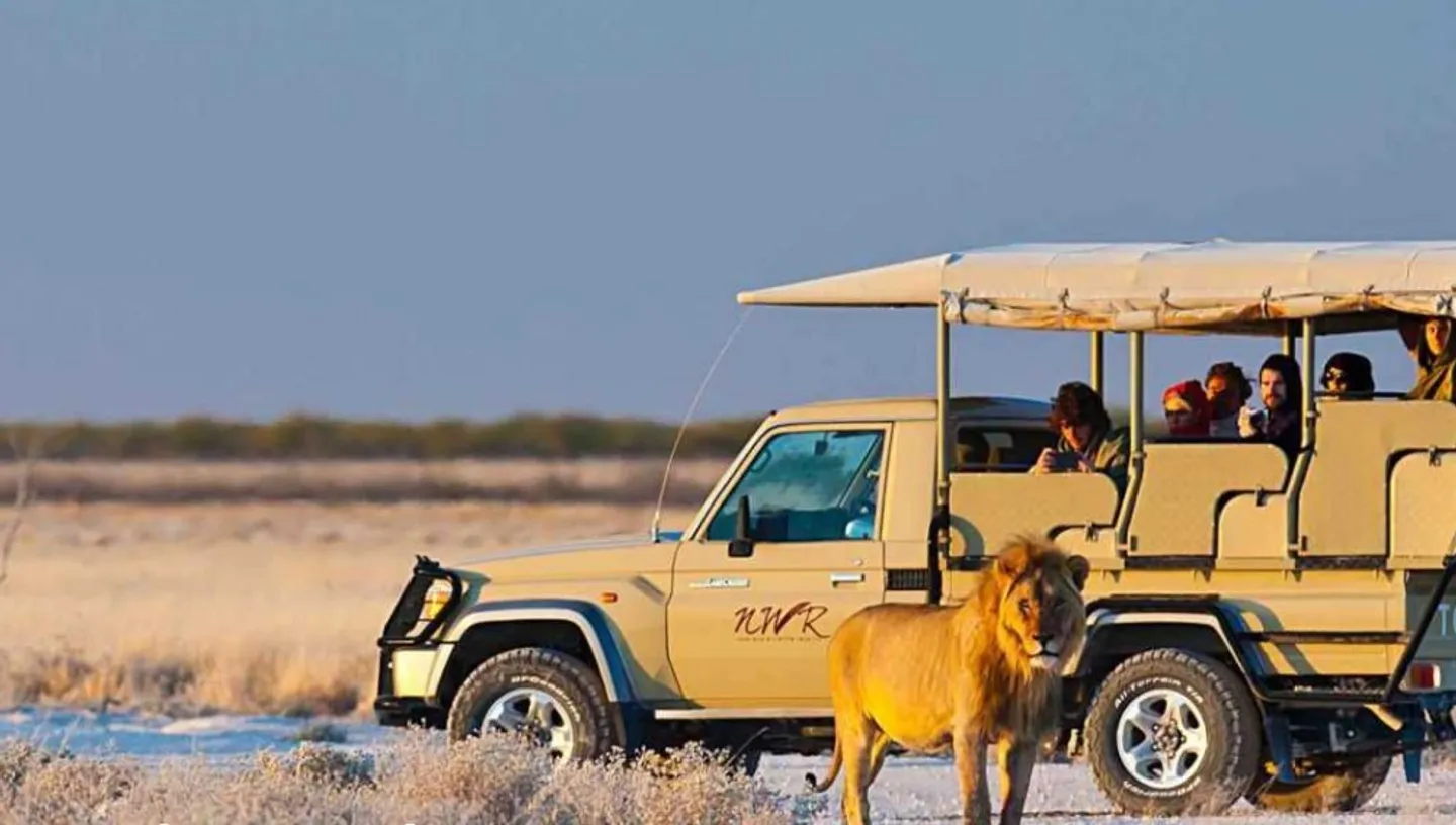 Namibia's National Park needs two years to recover from devastating wildfire