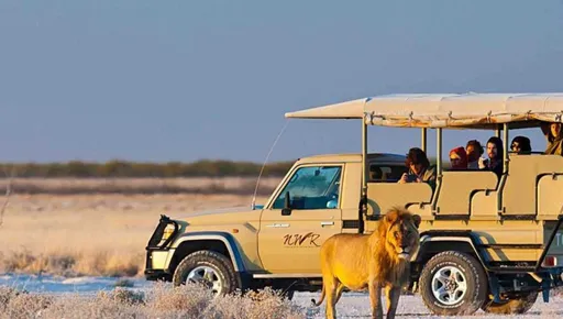 Namibia's National Park needs two years to recover from devastating wildfire