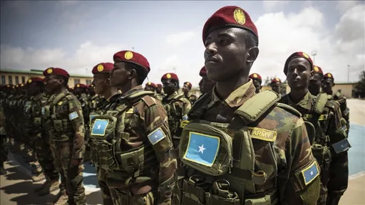 Türkiye sustains efforts to bolster Somalia’s security through military training at TURKSOM