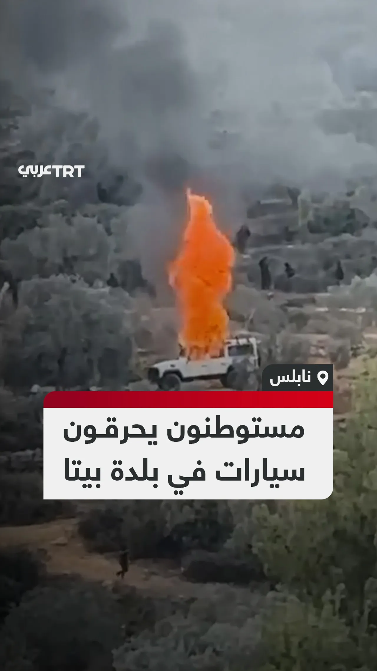 مستوطنون يحرقون
سيارات في بلدة بيتا