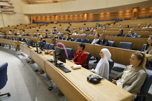 Online platforma „Diaspora connecting“ novi alat za saradnju sa bh. dijasporom