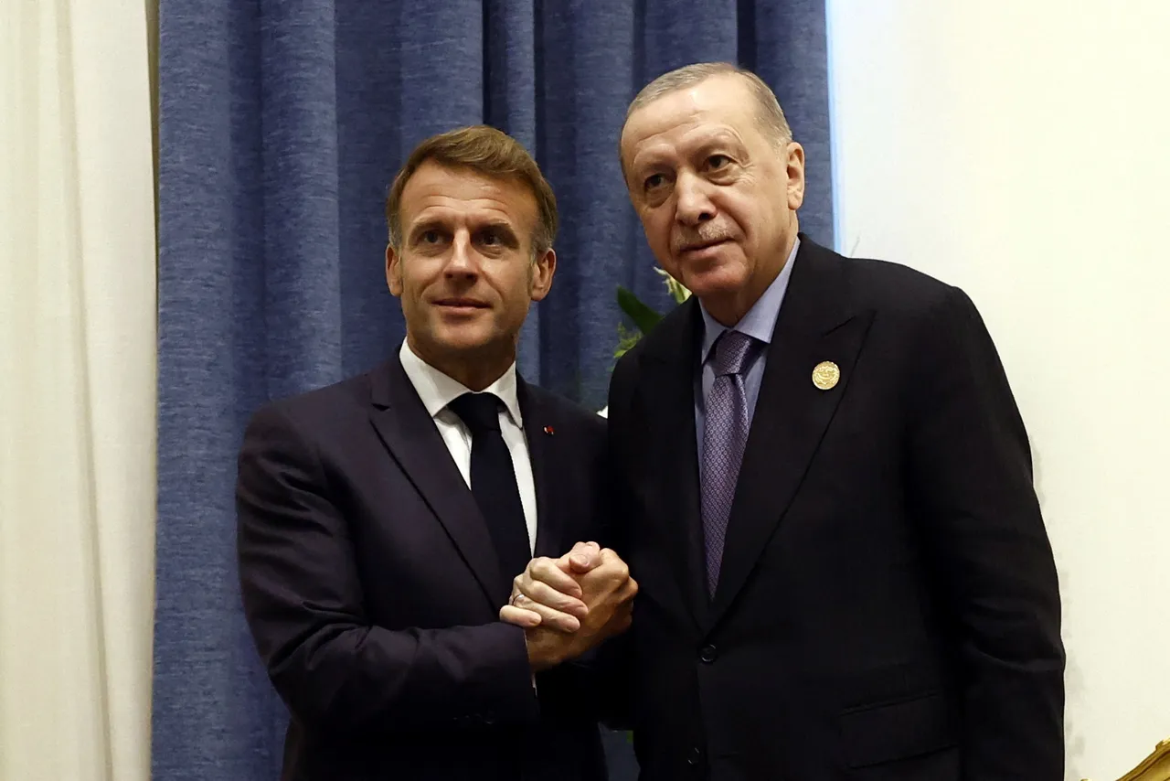 Erdogan insta a fortalecer la cooperación defensiva de la OTAN en llamada con Macron