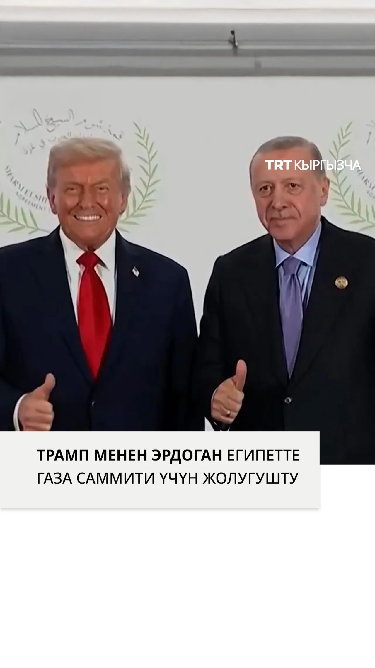 Трамп менен Эрдоган Египетте Газа саммити үчүн жолугушту