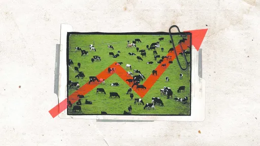 Harga yang semakin melonjak, mengapa daging sapi di seluruh dunia semakin mahal?