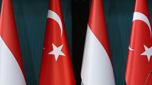 Türkiye and Indonesia seek deepening strategic ties at Ankara forum