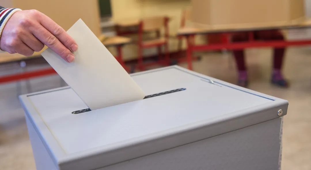 Insa-Umfrage: AfD in Sachsen-Anhalt bei 40 Prozent