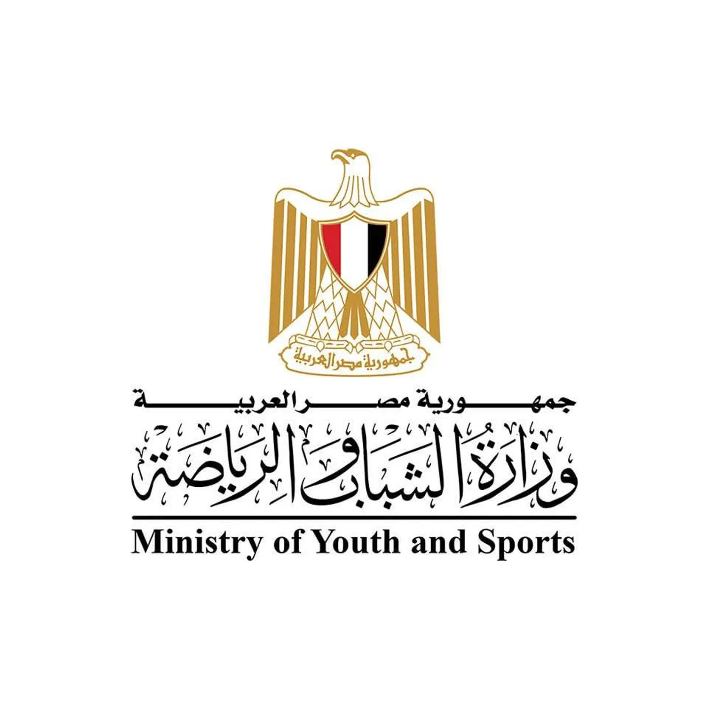 "هجرة غير شرعية واتجار بالبشر".. مصر تتحرك لمواجهة تجنيس أبطالها الرياضيين
