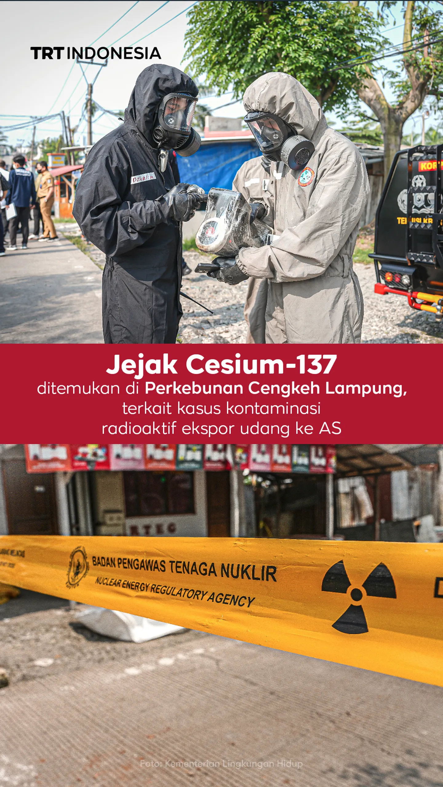 Jejak Cesium-137 ditemukan di Perkebunan Cengkeh Lampung