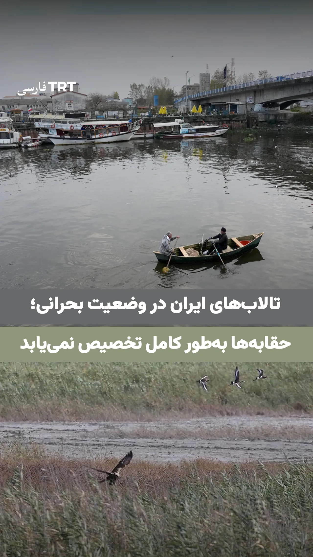 تالابهای ایران در وضعیت بحرانی؛ حقابهها بهطور کامل تخصیص نمییابد