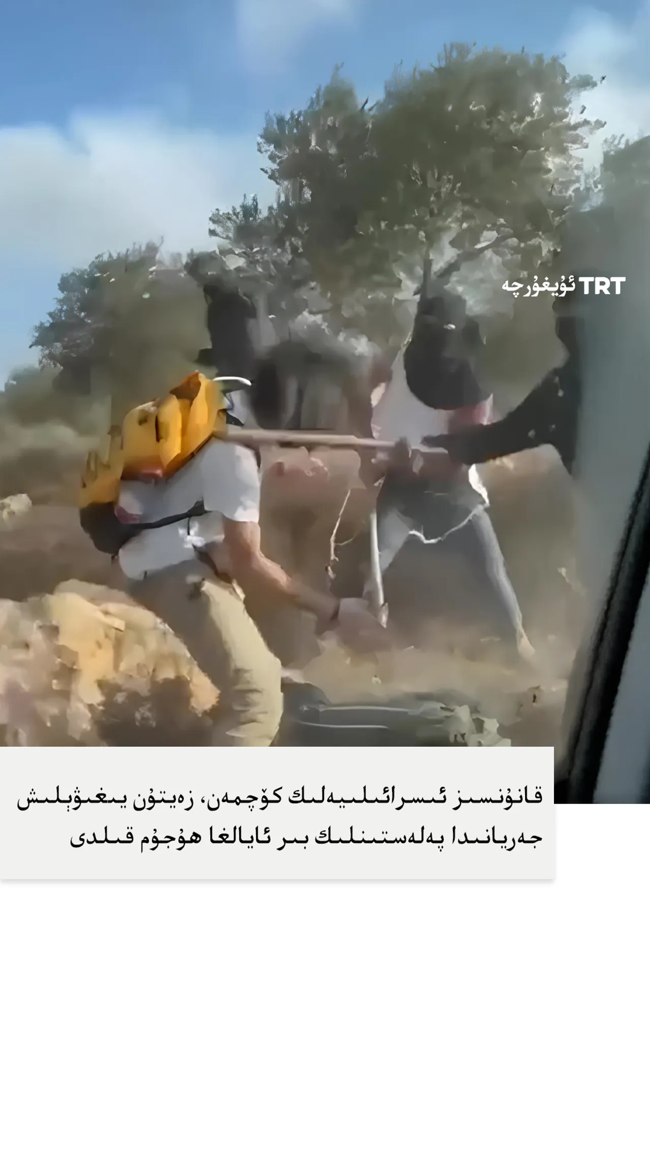 قانۇنسىز ئىسرائىلىيەلىك كۆچمەن، زەيتۇن يىغىۋېلىش جەريانىدا پەلەستىنلىك بىر ئايالغا ھۇجۇم قىلدى