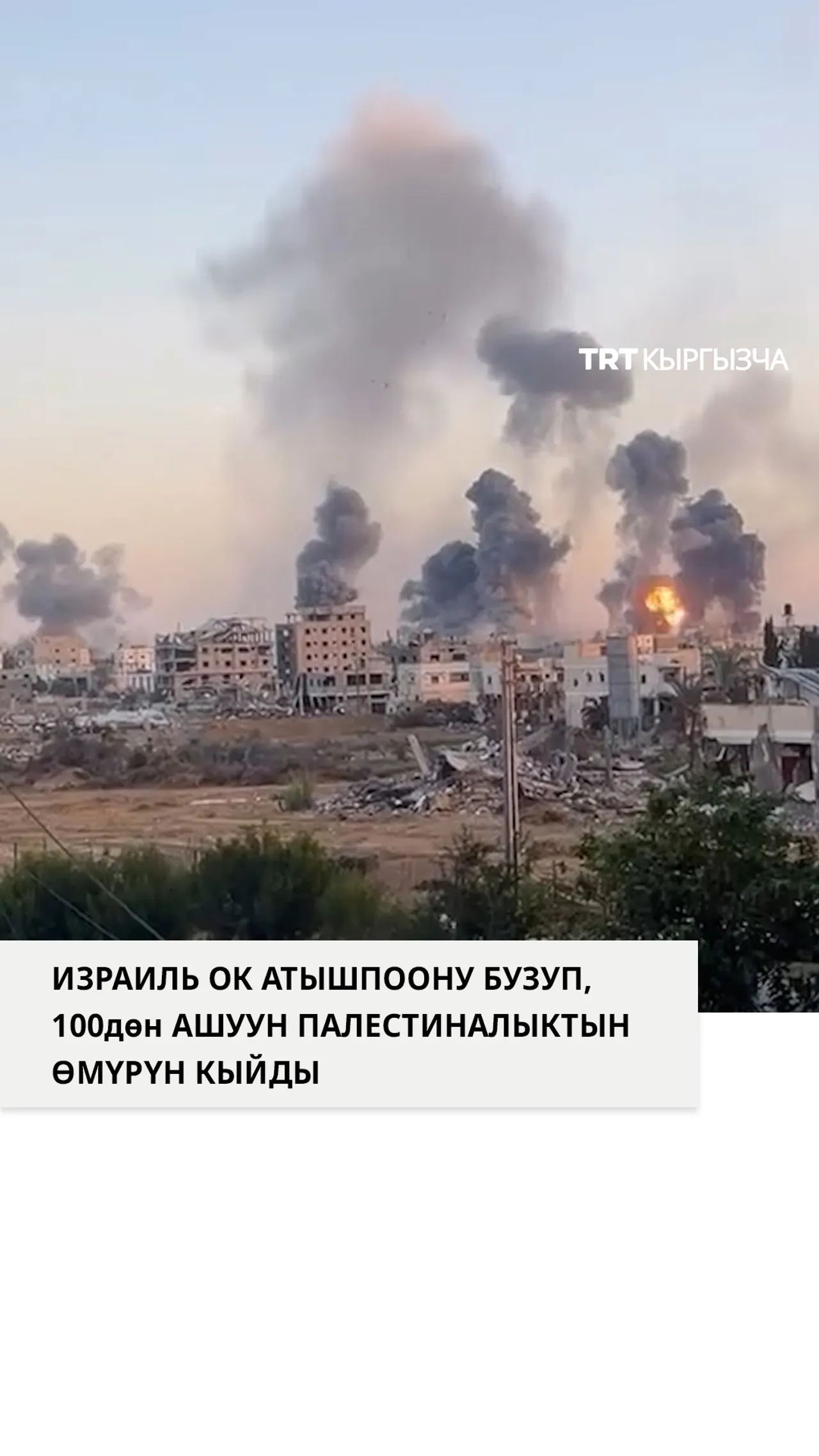 Израиль ок атышпоого карабастан Палестинага кол салууда