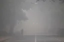 Thick smog blankets New Delhi as Diwali fireworks push pollution to hazardous levels