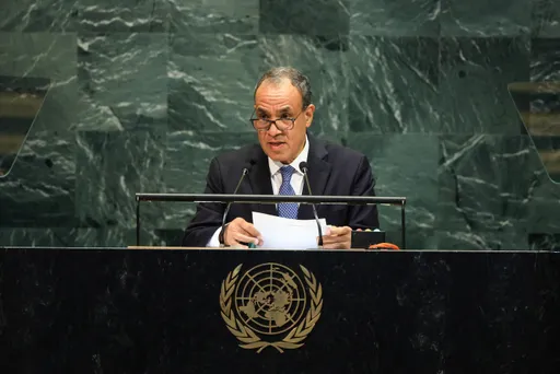 Egypt urges swift UN action to authorise Gaza peacekeeping mission