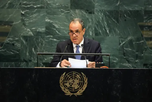 Egypt urges swift UN action to authorise Gaza peacekeeping mission