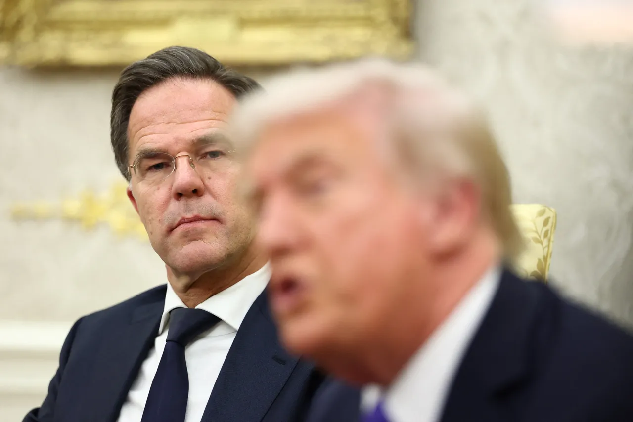 Trump wiederholt Kritik an NATO nach Treffen mit Rutte