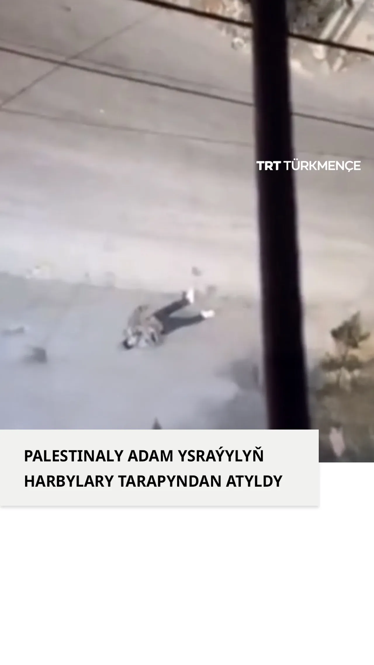 PALESTINALY ADAM YSRAÝYLYŇ HARBYLARY TARAPYNDAN ATYLDY