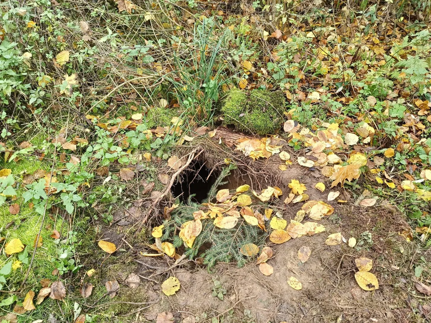 Odkrycie na granicy z Białorusią – 30-metrowy tunel wykryty przez polskie służby